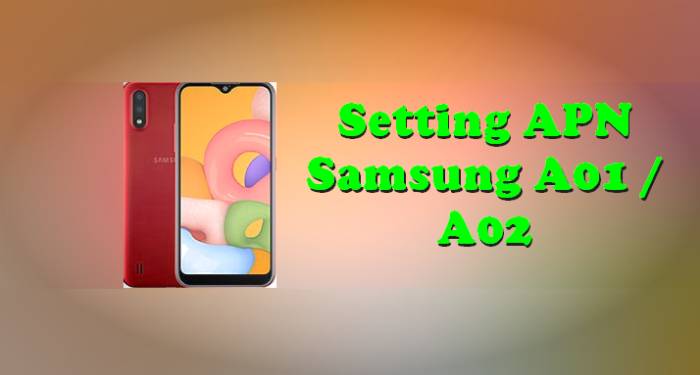 Cara Setting APN Samsung A01 A02